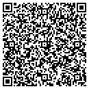QR code with Print To Mail contacts