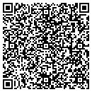 QR code with Bluestone Tree contacts