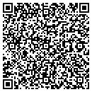 QR code with Practical Tree Service contacts