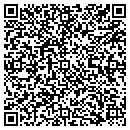 QR code with Pyrolyzer LLC contacts