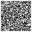 QR code with Brian's Tree Service contacts