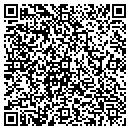 QR code with Brian's Tree Service contacts