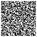 QR code with Cyclone Tree Care contacts