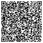 QR code with Pulse Emergency Medical contacts