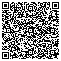 QR code with Amsoil contacts