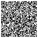 QR code with Blu Skys Window Cleaning contacts