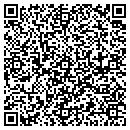 QR code with Blu Skys Window Cleaning contacts