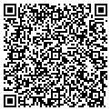 QR code with C W & CO contacts