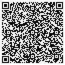 QR code with Professional Hardware contacts