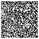 QR code with Camin Cargo Control contacts