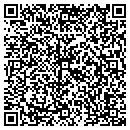 QR code with Copiah Tree Service contacts