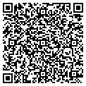 QR code with Colona contacts