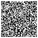 QR code with Pro Window Cleaning contacts