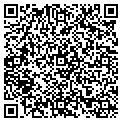 QR code with Amsoil contacts