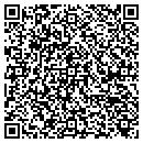 QR code with Cgr Technologies Inc contacts