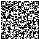 QR code with Pure View LLC contacts