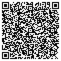 QR code with Stw Carpentry LLC contacts