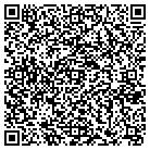 QR code with Blink Window Cleaning contacts