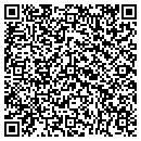 QR code with Carefree Signs contacts