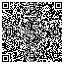 QR code with Problem Solvers Inc contacts