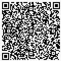 QR code with M G Tree contacts