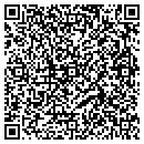 QR code with Team Carlson contacts