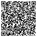 QR code with Window Doctor contacts