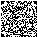 QR code with City Of Hornell contacts
