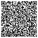 QR code with Pyles Excavating Inc contacts