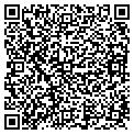QR code with Ansi contacts