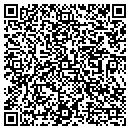 QR code with Pro Window Cleaning contacts