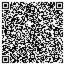 QR code with Provious Construction contacts