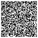 QR code with Custom Polymers Inc contacts