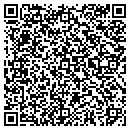 QR code with Precision Motorsports contacts