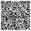 QR code with Pp & E Cabinetry Inc contacts