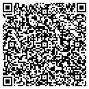 QR code with Clear Vision Windows contacts