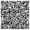 QR code with Briscoe Signs contacts