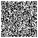 QR code with Pulse E M S contacts