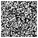 QR code with Chicago Display Co contacts