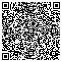 QR code with Signs contacts