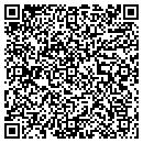 QR code with Precise David contacts