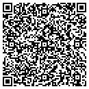 QR code with Protek Systems Corp contacts