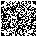 QR code with Cool Signs & Graphix contacts