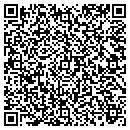 QR code with Pyramid Sign & Design contacts