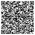 QR code with Signco contacts