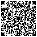QR code with Curt Johnson contacts