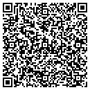QR code with Conceptual Designs contacts
