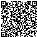 QR code with Palmer contacts
