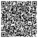 QR code with M Tree contacts