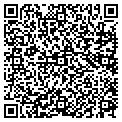 QR code with Signtec contacts